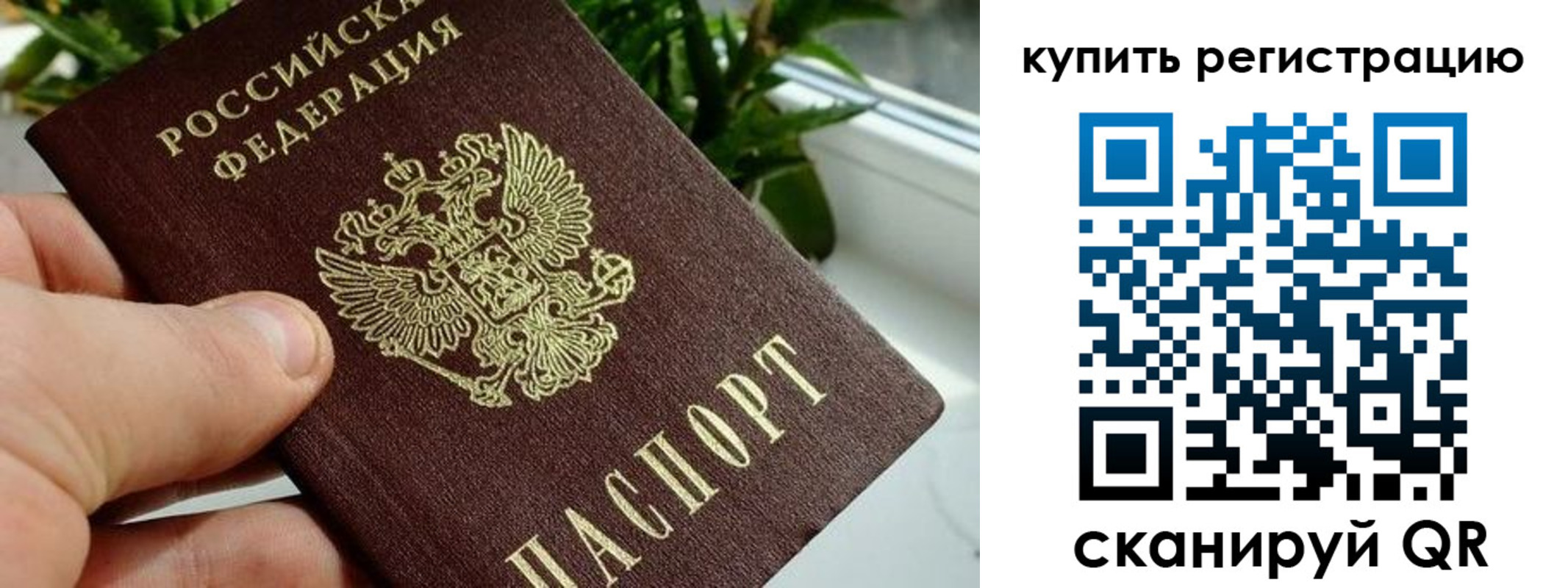прописка гарантия в Азнакаево